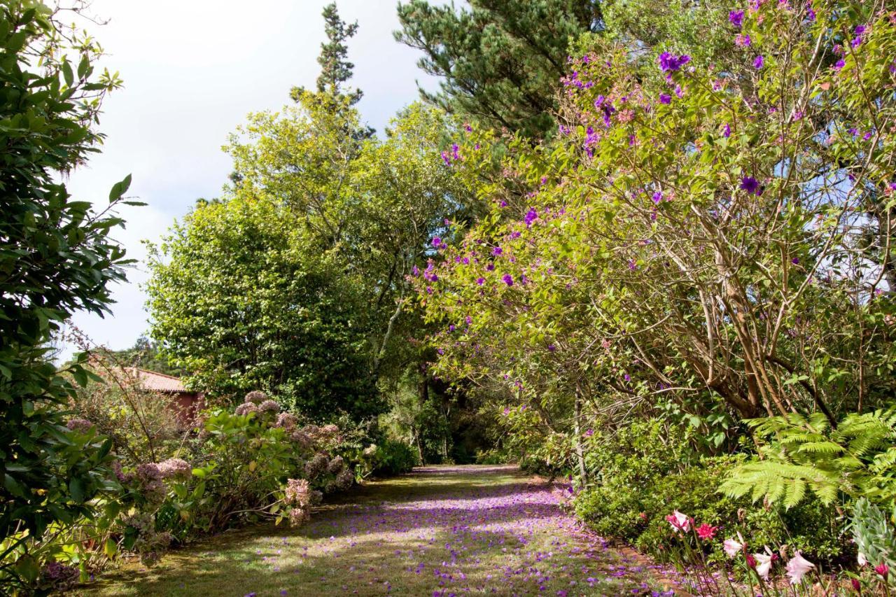 Quinta Santo Antonio Da Serra ภายนอก รูปภาพ